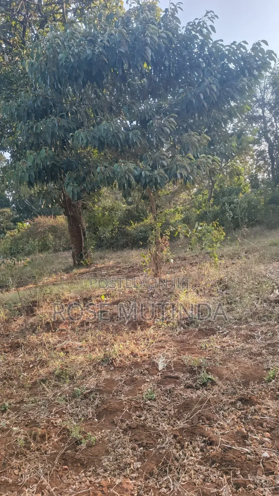 2acres Matungulu in Tala