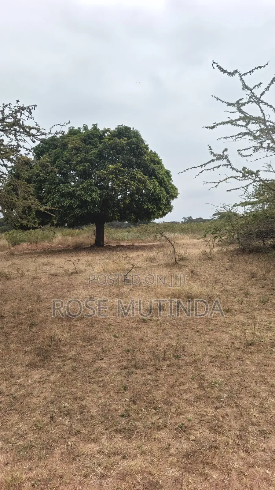8acres at Nguluni in Nguluni