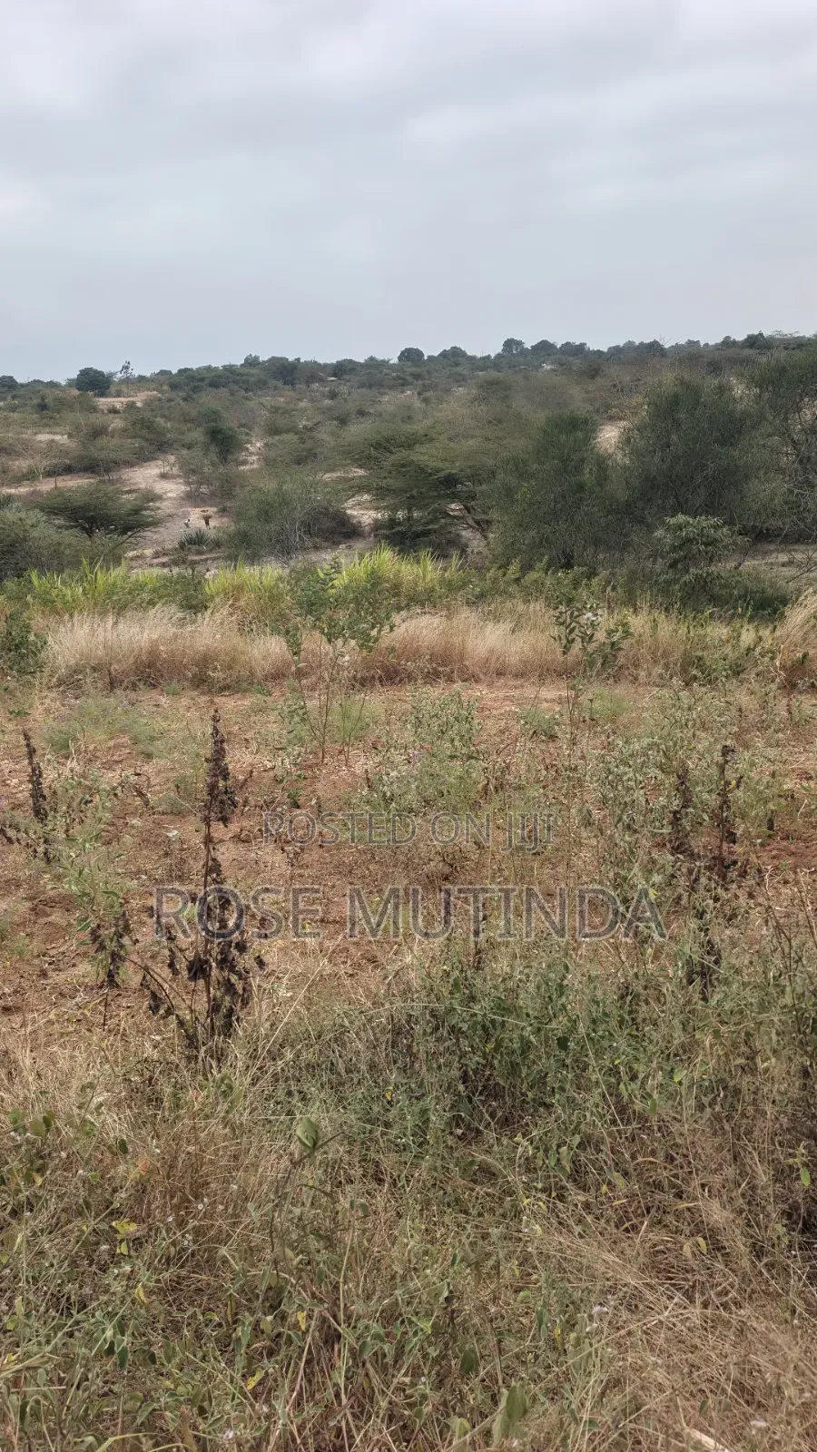 8acres at Nguluni in Nguluni