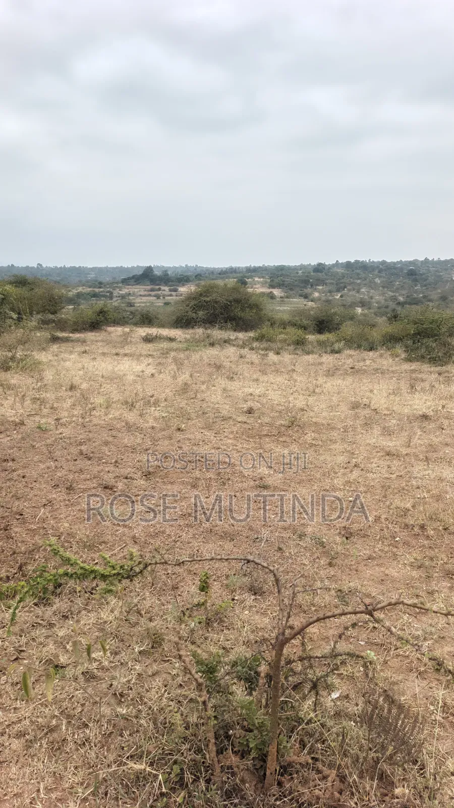 8acres at Nguluni in Nguluni