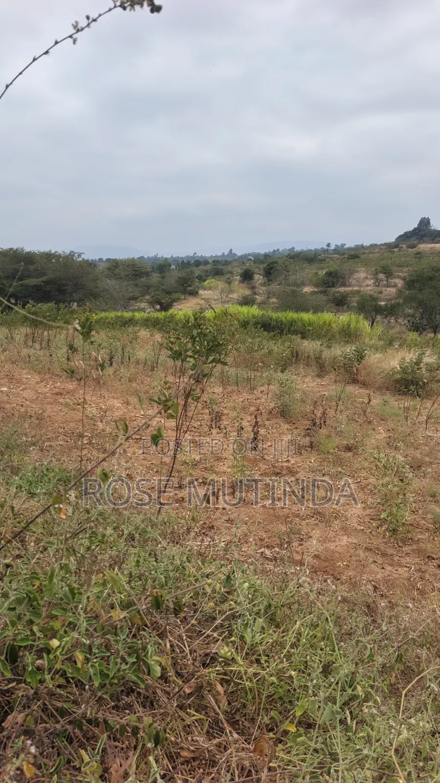 8acres at Nguluni in Nguluni