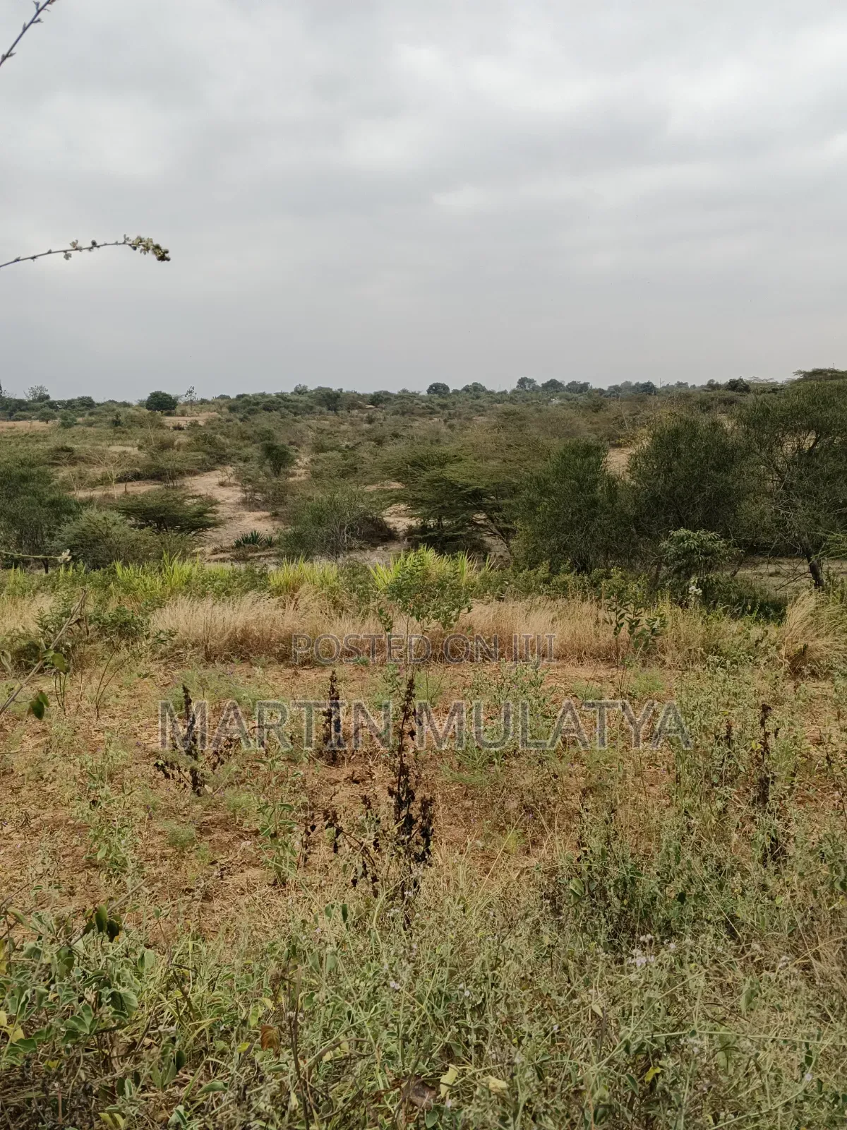 Land for Sell in Tala