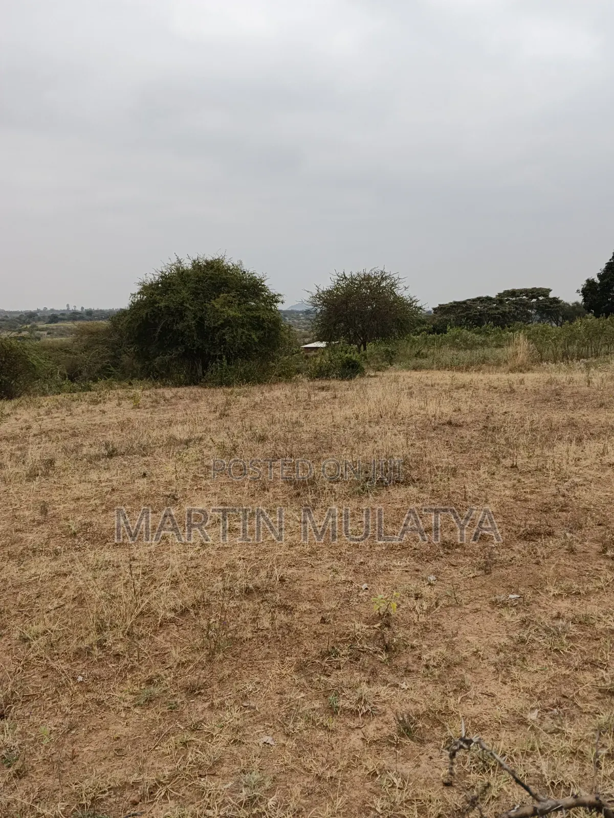 Land for Sell in Tala