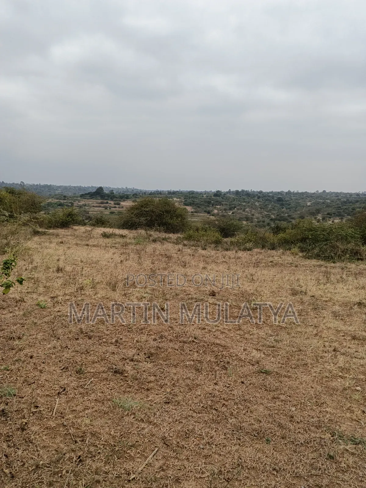 Land for Sell in Tala