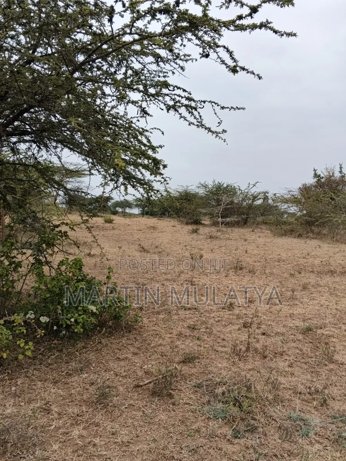 Land for Sell in Tala