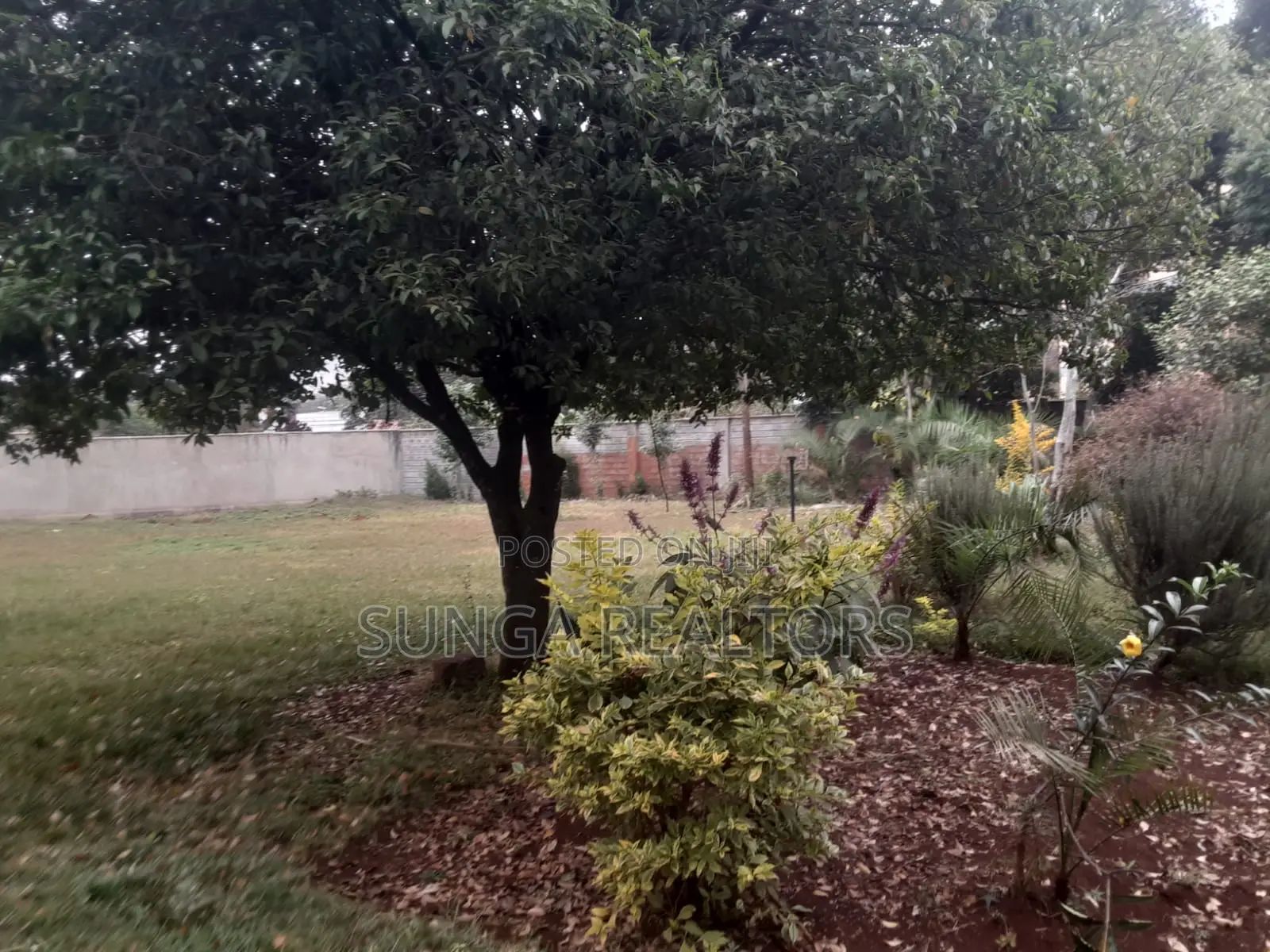 Commercial Property for Rent in Gigiri in Gigiri