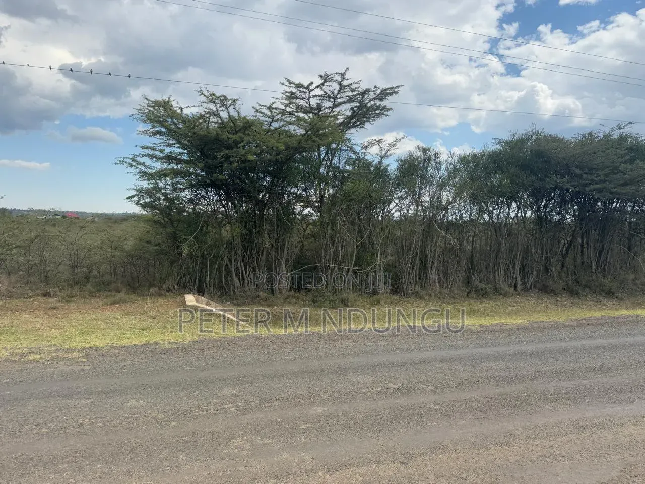 Nanyuki Near Ol Pejeta Conservancy-16 Acres, Title in Nanyuki