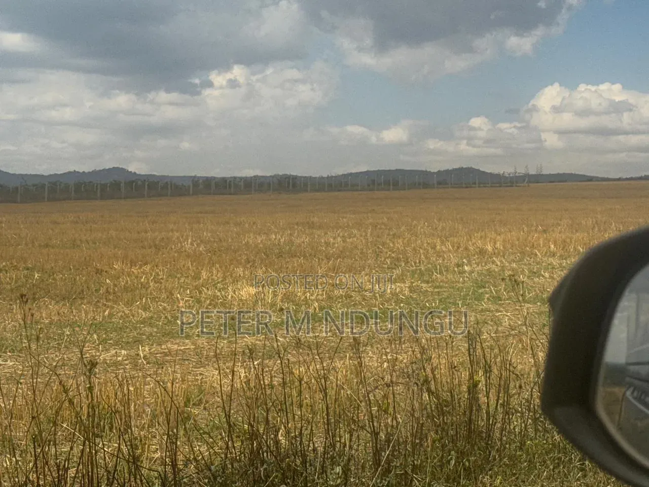 Nanyuki Near Ol Pejeta Conservancy-16 Acres, Title in Nanyuki