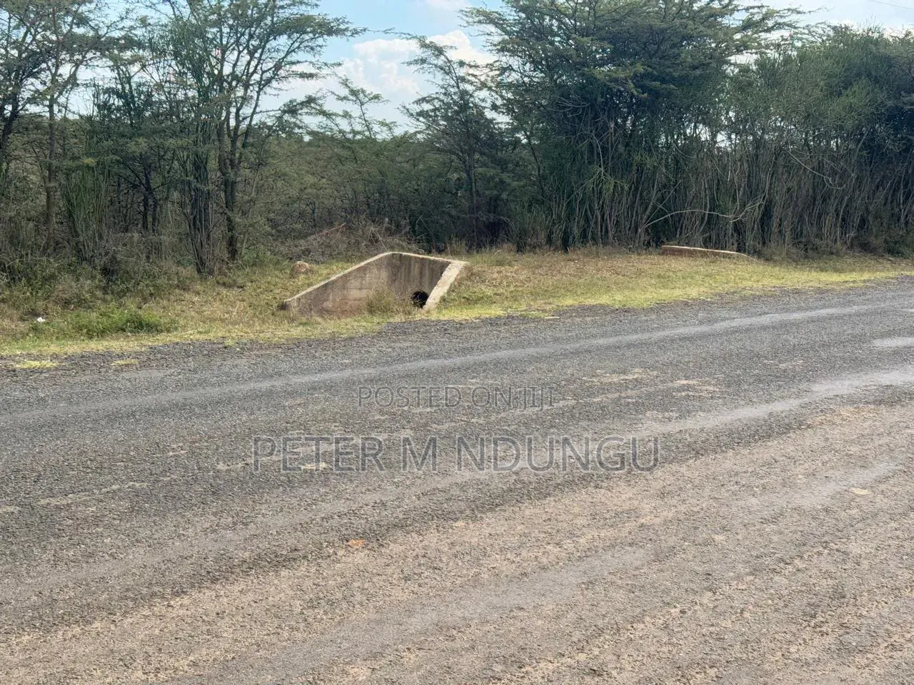 Nanyuki Near Ol Pejeta Conservancy-16 Acres, Title in Nanyuki