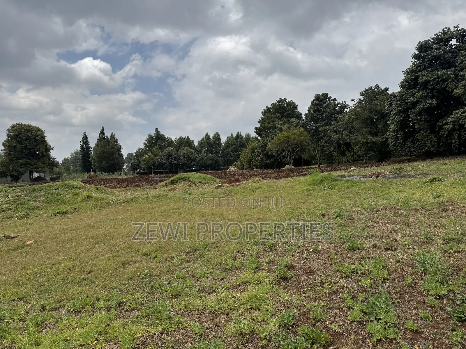 1/4 Acre Kibiku in Kibiku