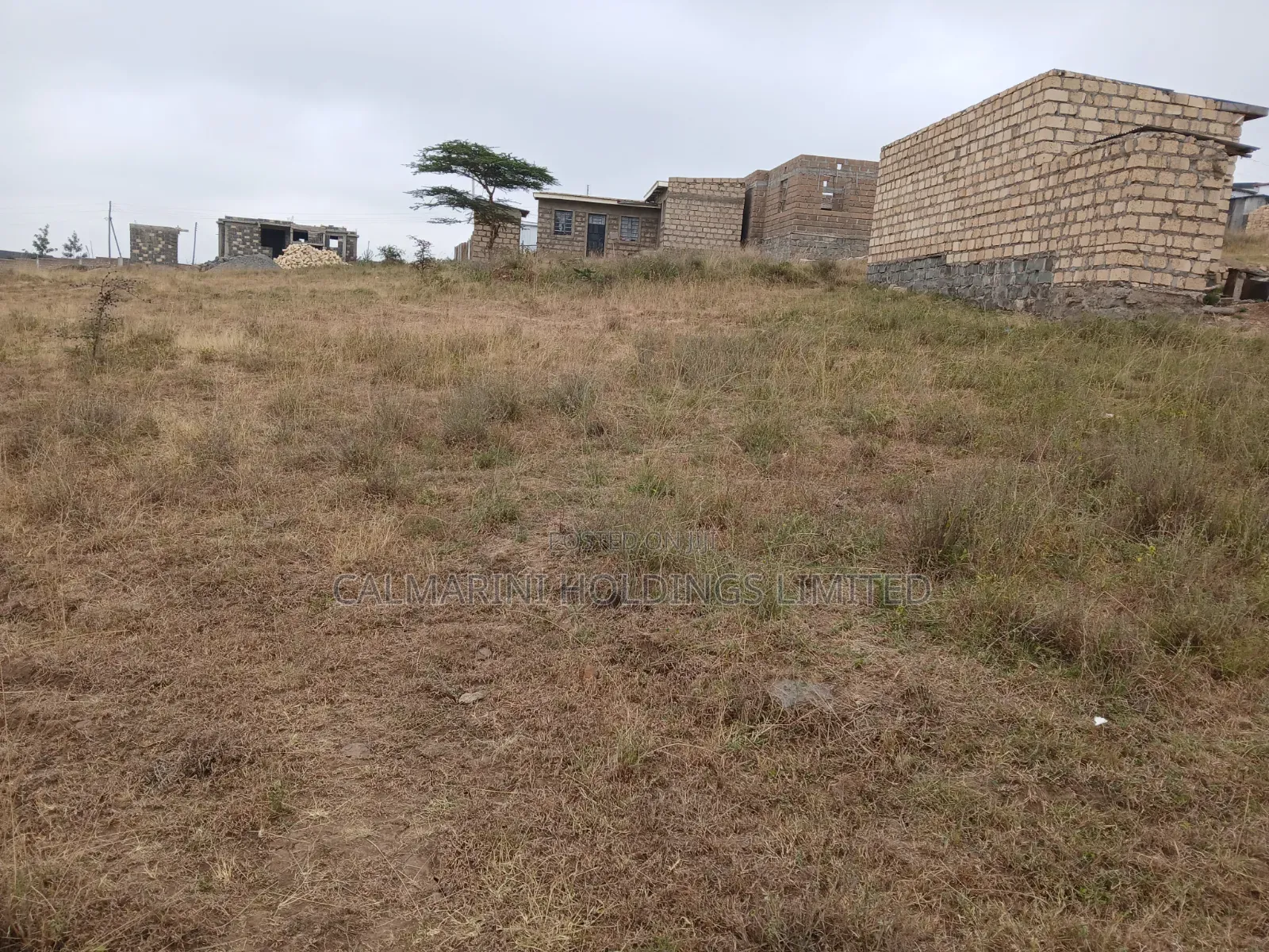 Selling a Prime 40 by 42 Feet Plot in Kiserian, University Way in Kiserian