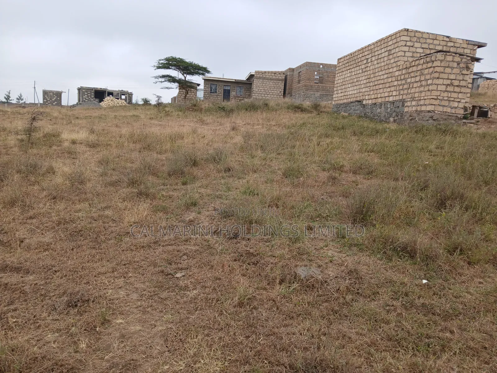 Selling a Prime 40 by 42 Feet Plot in Kiserian, University Way in Kiserian