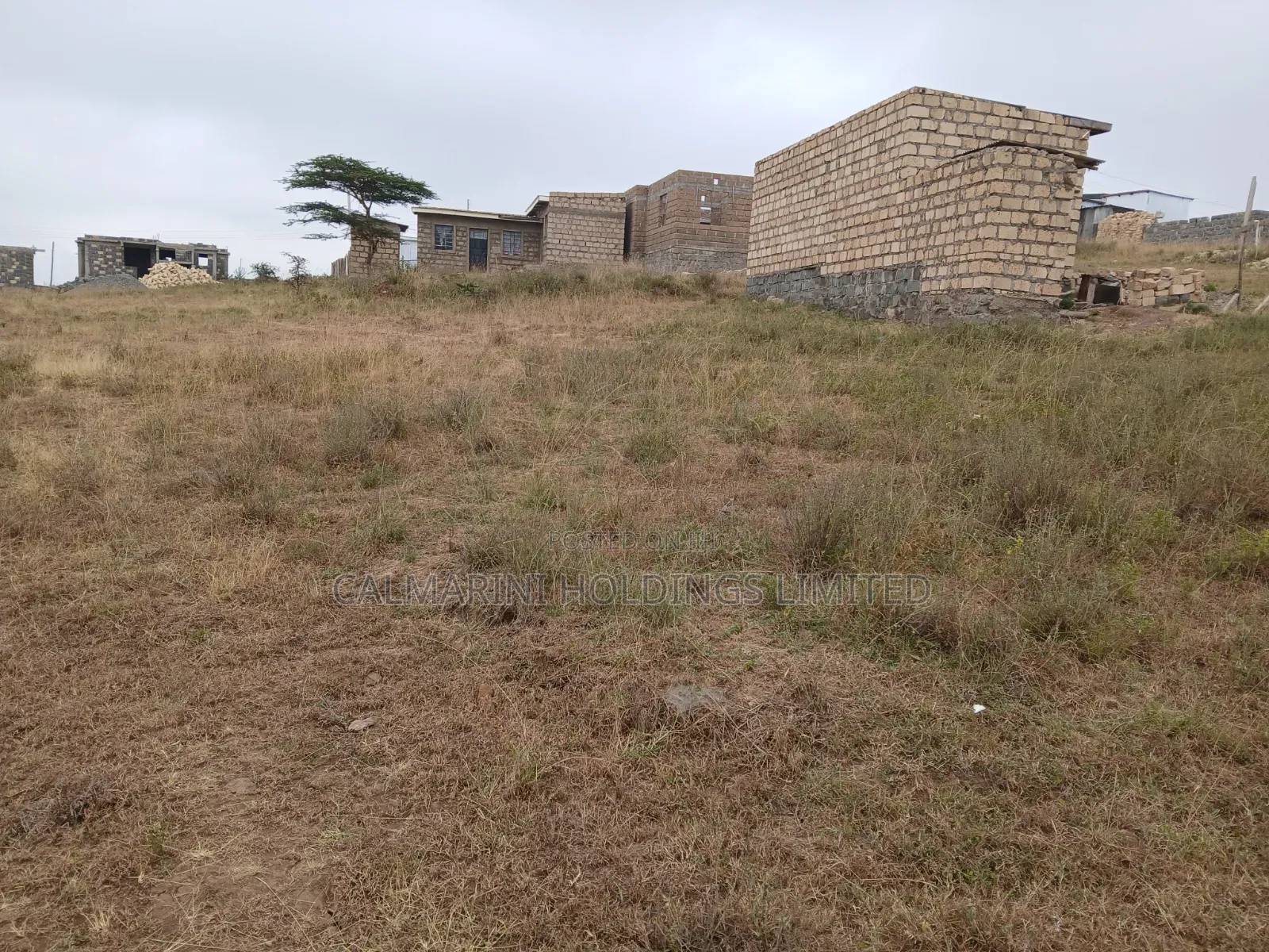 Selling a Prime 40 by 42 Feet Plot in Kiserian, University Way in Kiserian