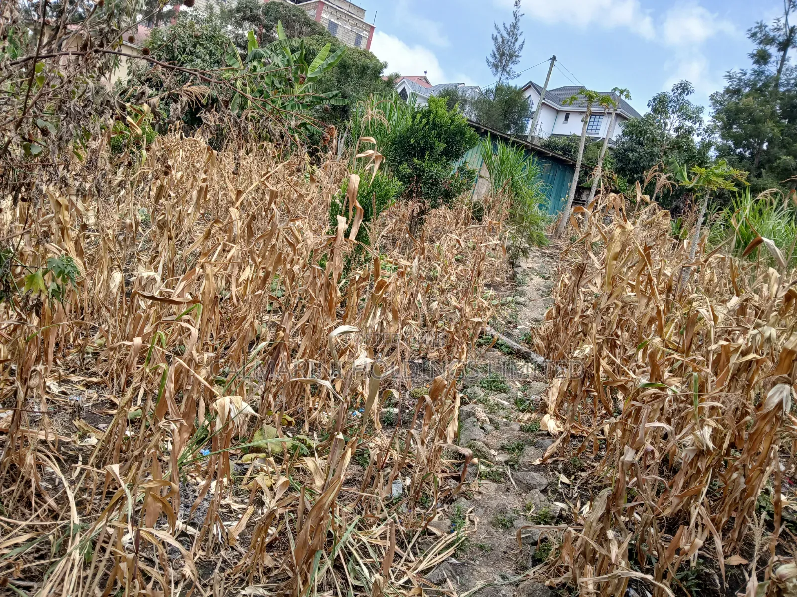 Very Prime Commercial Full 100 by 100 400 Metres Off Magadi Rd Tarmac in Rimpa