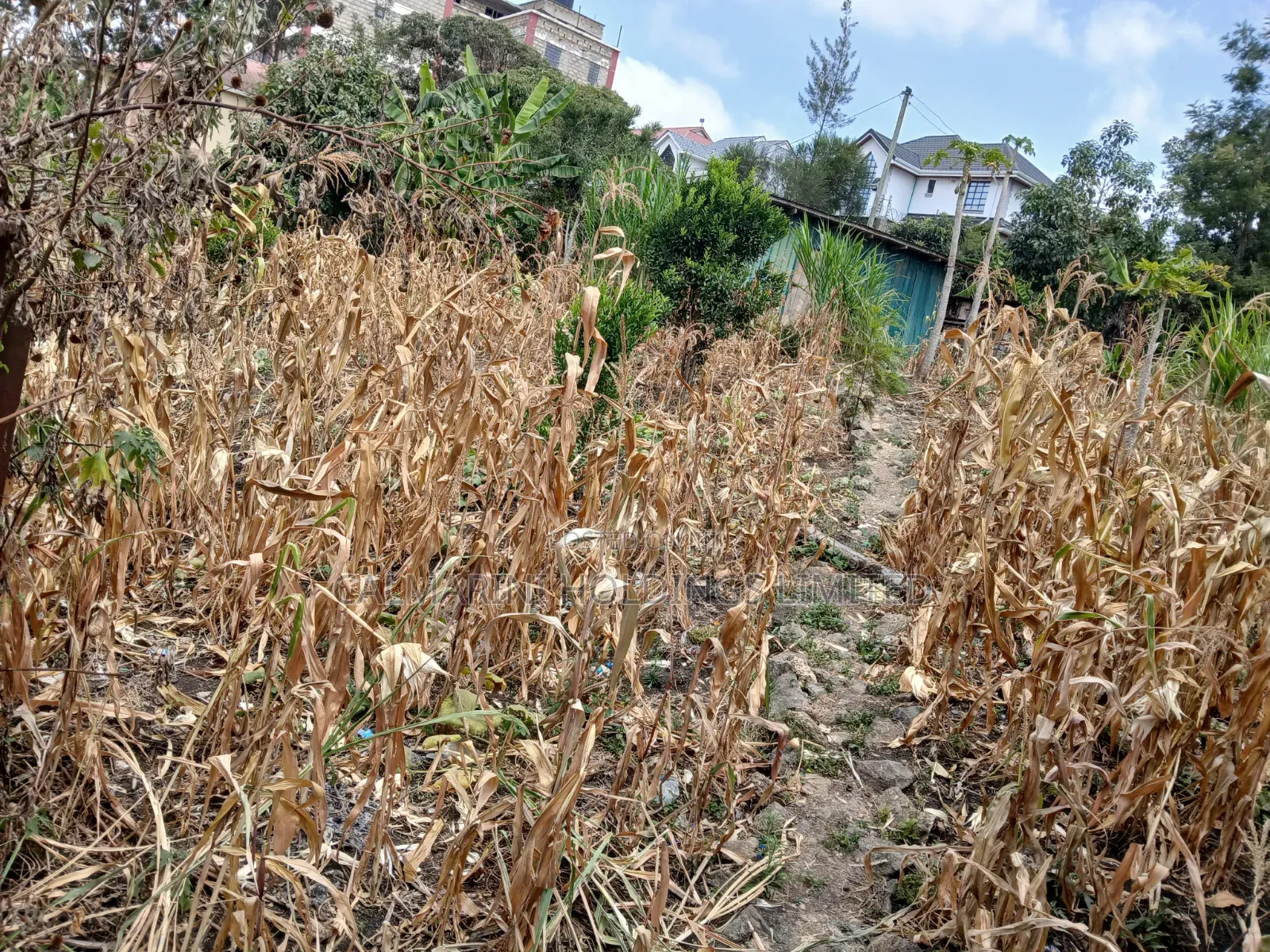 Very Prime Commercial Full 100 by 100 400 Metres Off Magadi Rd Tarmac in Rimpa