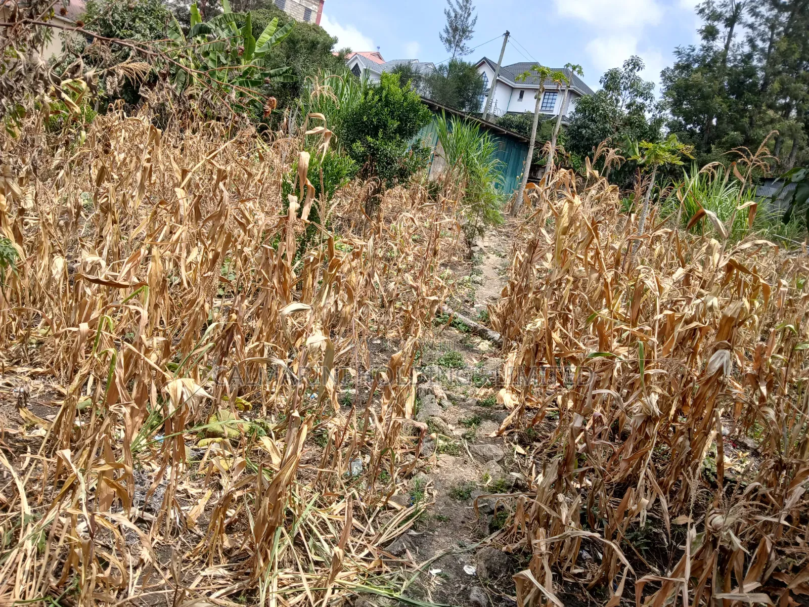 Very Prime Commercial Full 100 by 100 400 Metres Off Magadi Rd Tarmac in Rimpa