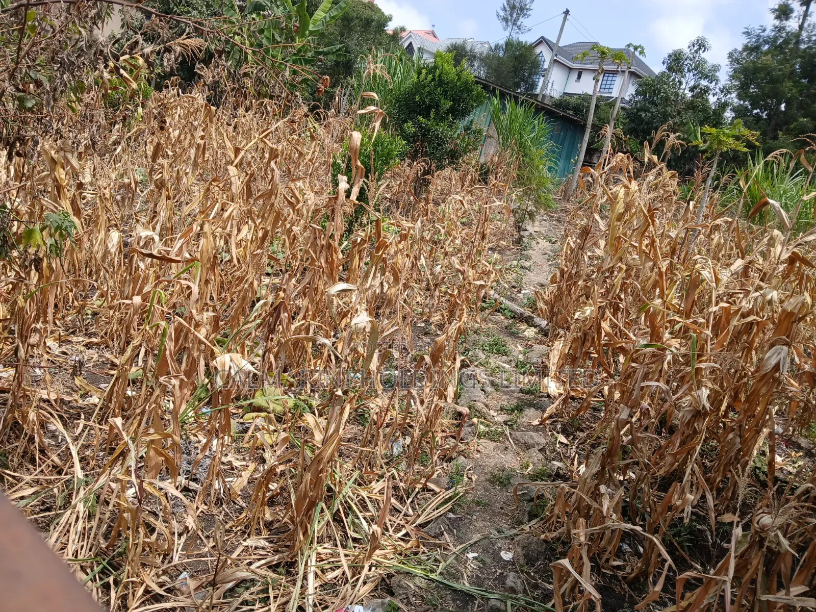 Very Prime Commercial Full 100 by 100 400 Metres Off Magadi Rd Tarmac in Rimpa