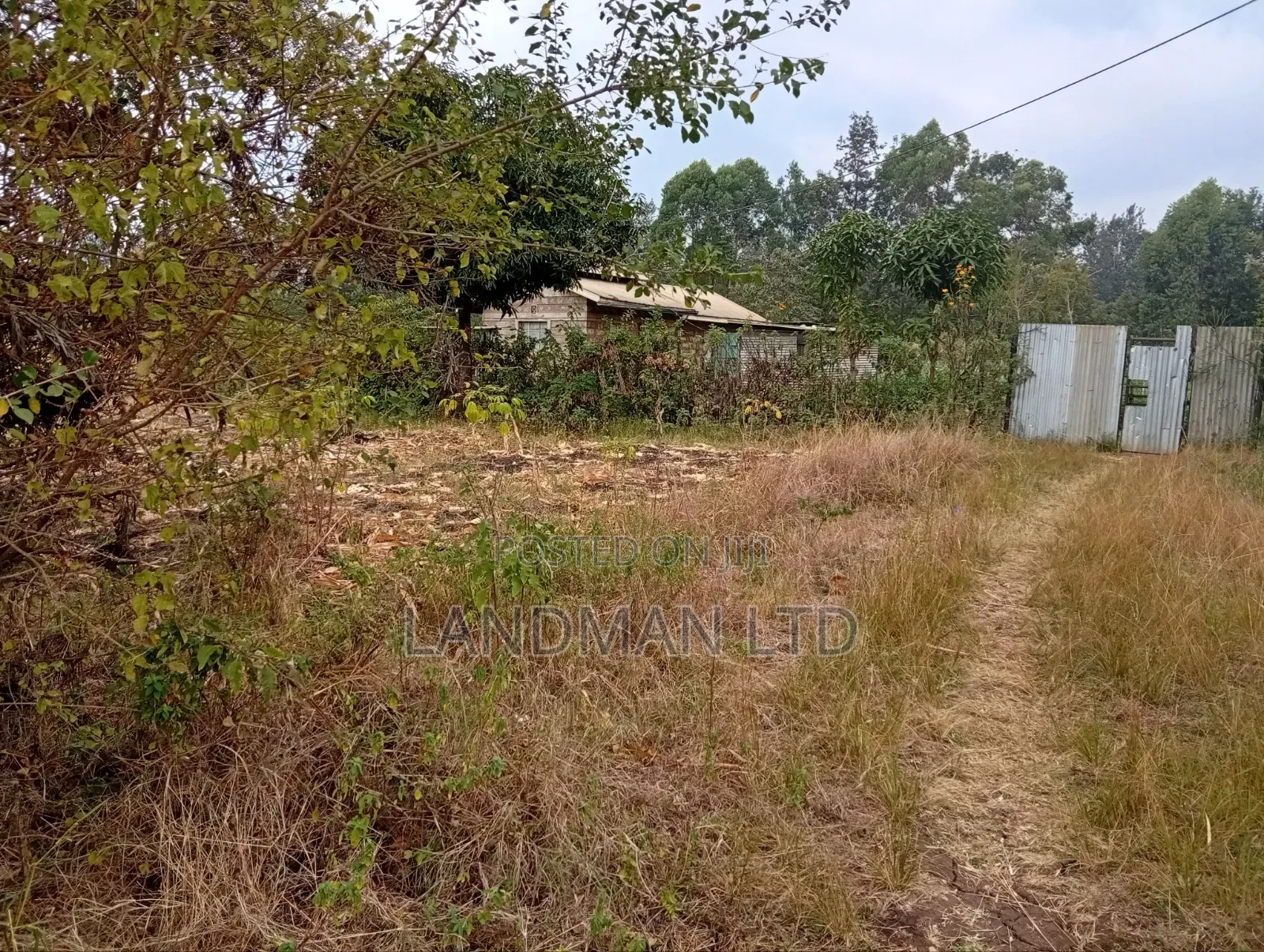 Prime 2 Acres for Sale – Makuyu, Near Makuyu Girls in Makuyu
