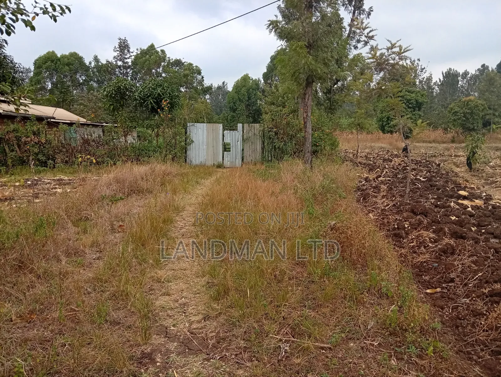Prime 2 Acres for Sale – Makuyu, Near Makuyu Girls in Makuyu