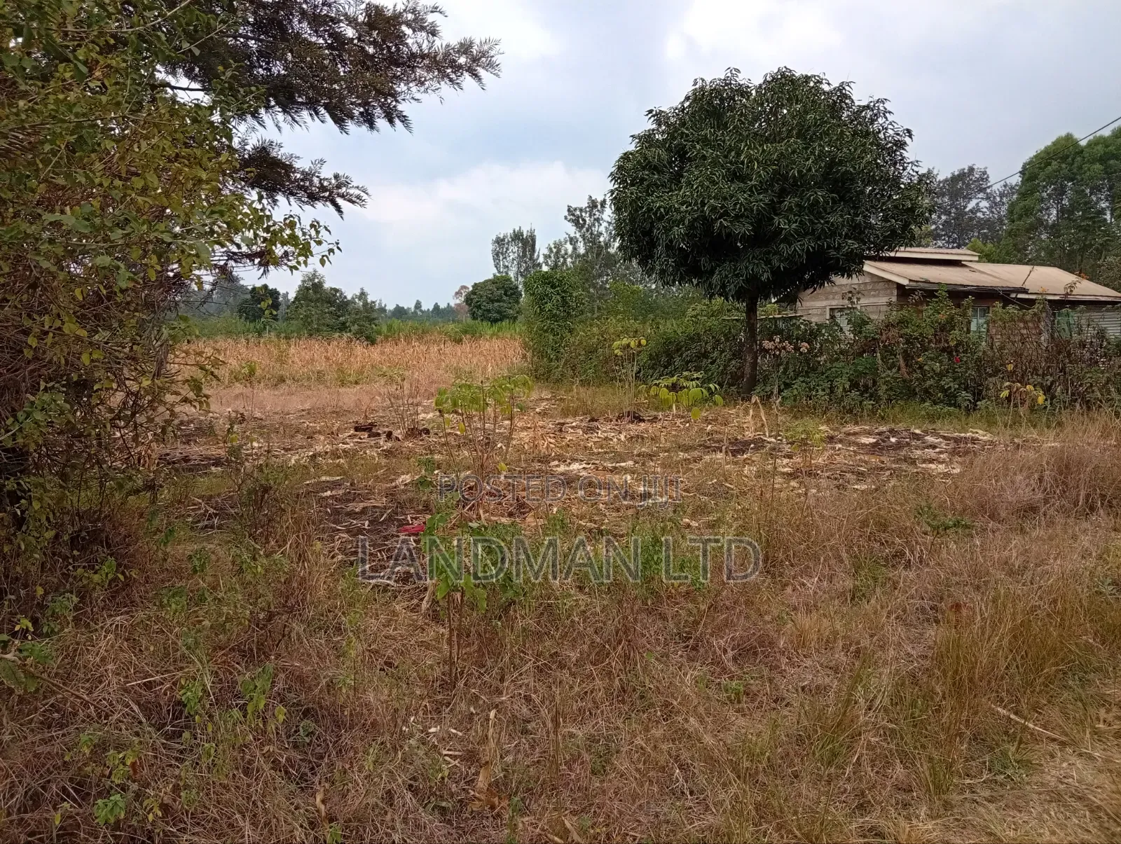 Prime 2 Acres for Sale – Makuyu, Near Makuyu Girls in Makuyu
