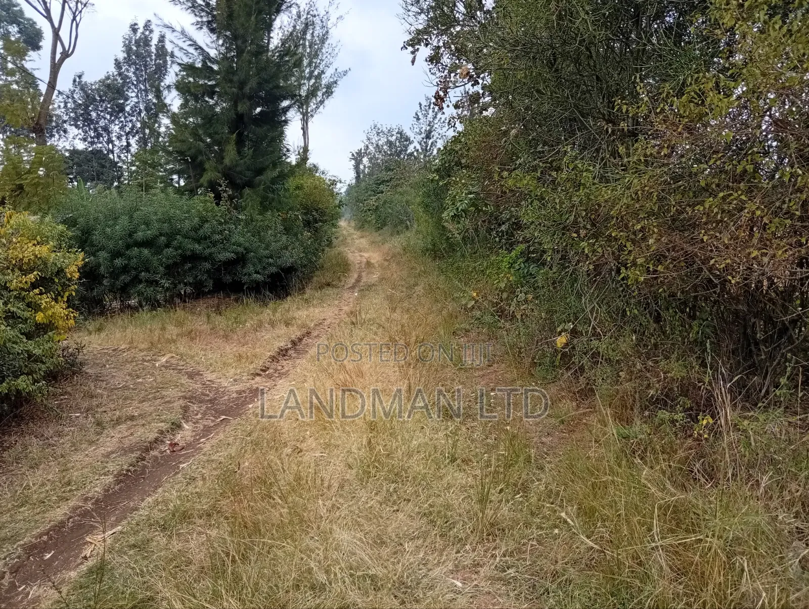 Prime 2 Acres for Sale – Makuyu, Near Makuyu Girls in Makuyu
