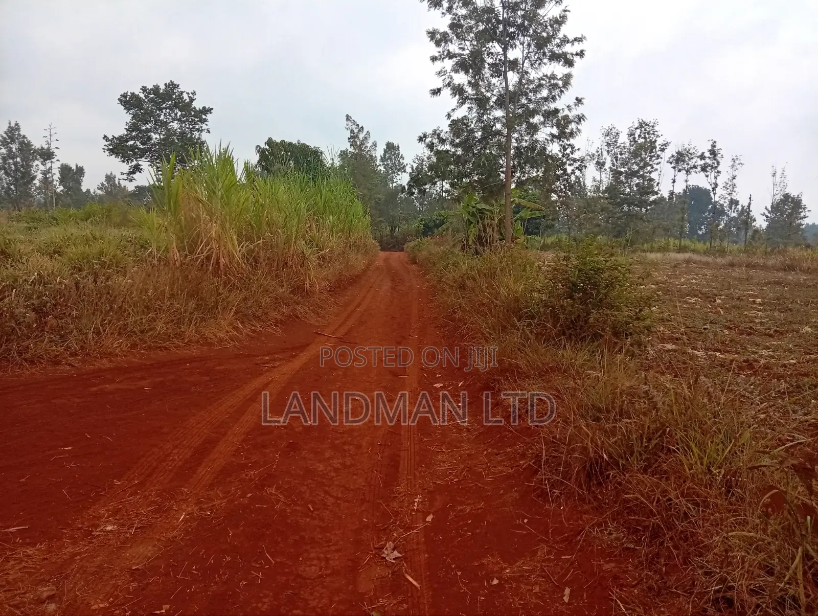 Prime 2 Acres for Sale – Makuyu Pundamilia in Makuyu