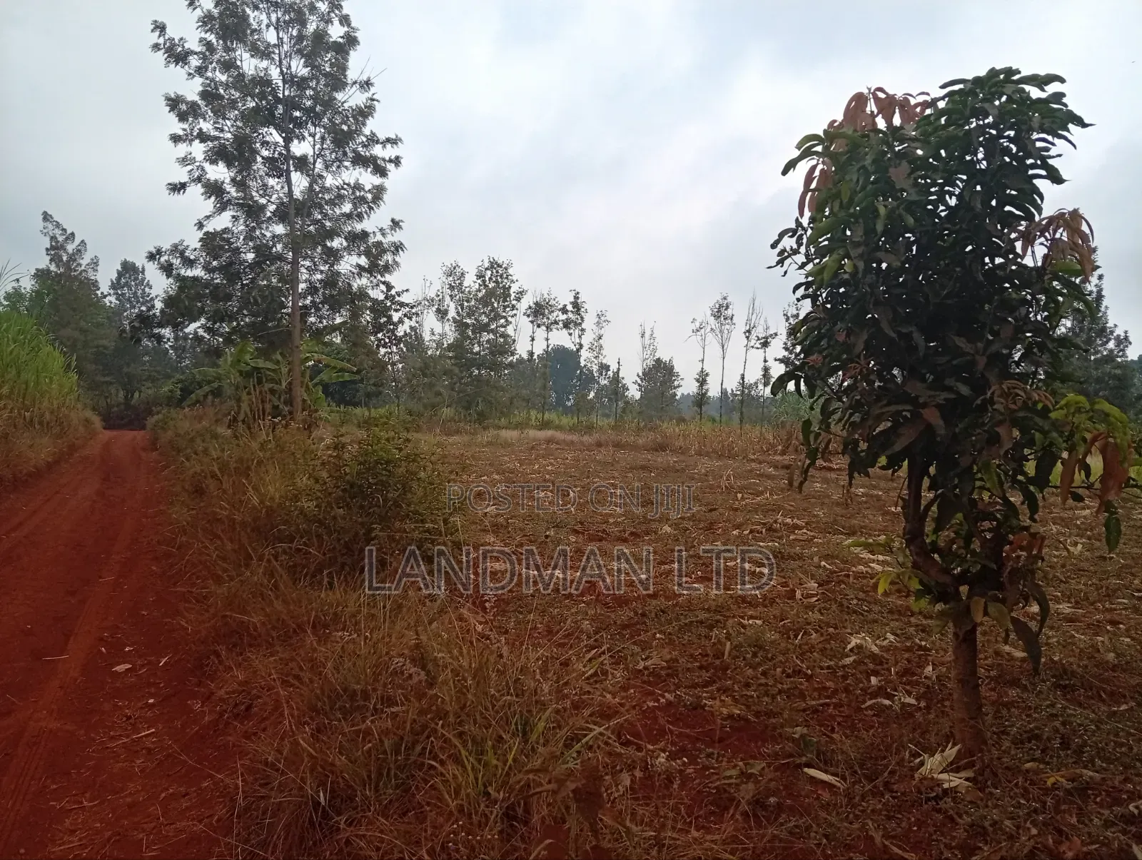 Prime 2 Acres for Sale – Makuyu Pundamilia in Makuyu