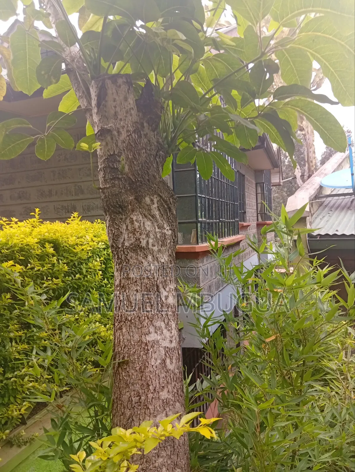 3bdrm Bungalow in Kare, Karen for rent in Karen