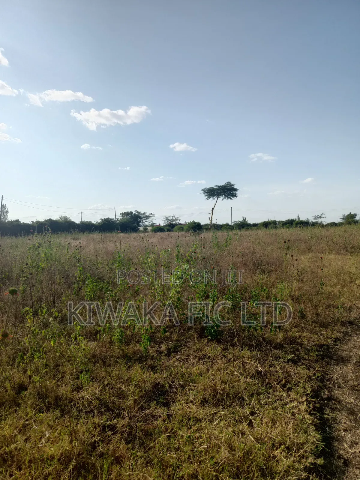 1 Acre for Sale 400 Metres From Eastern Bypass in Ruai