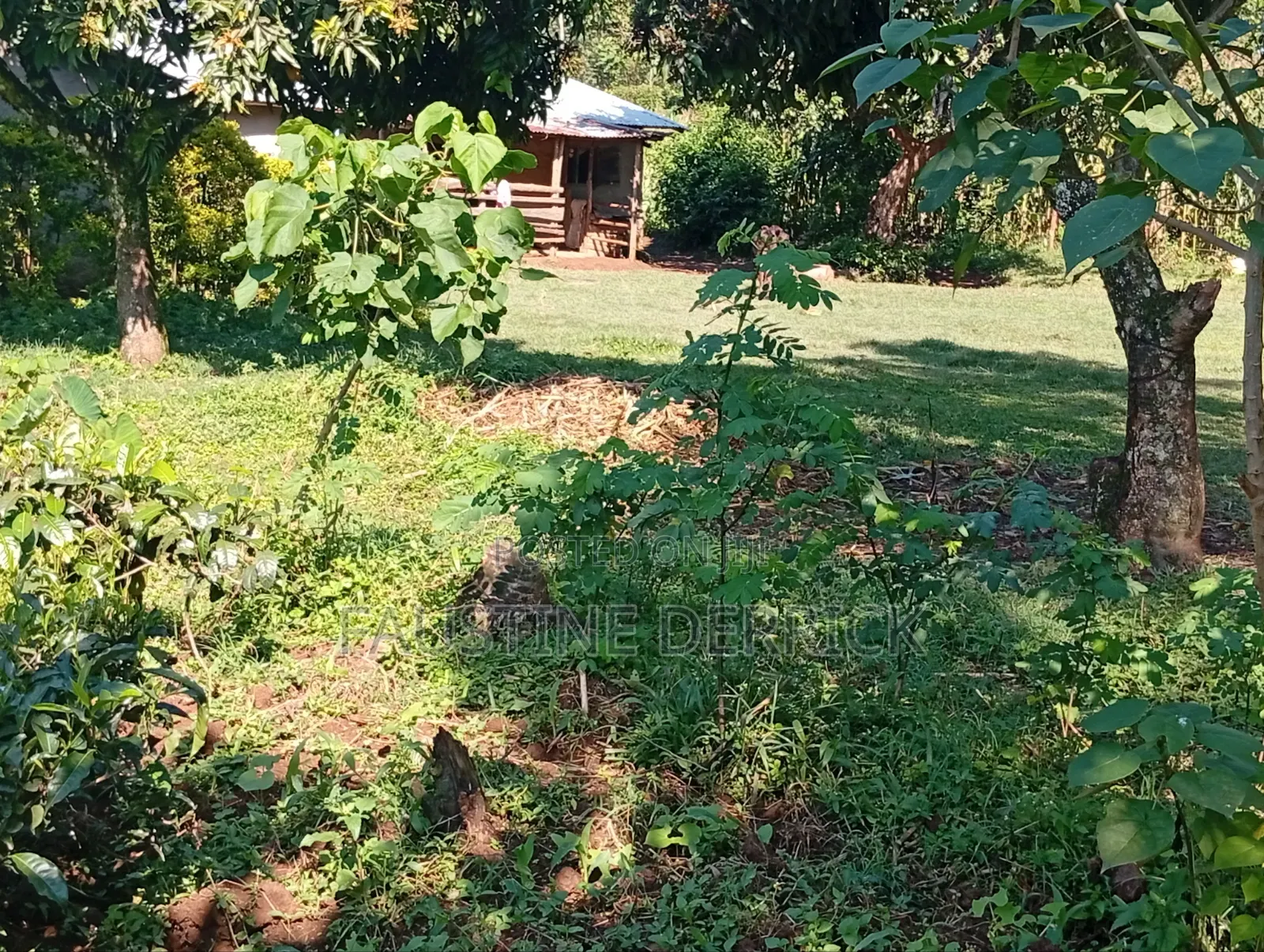 Land on Sale 2acres in Murhanda