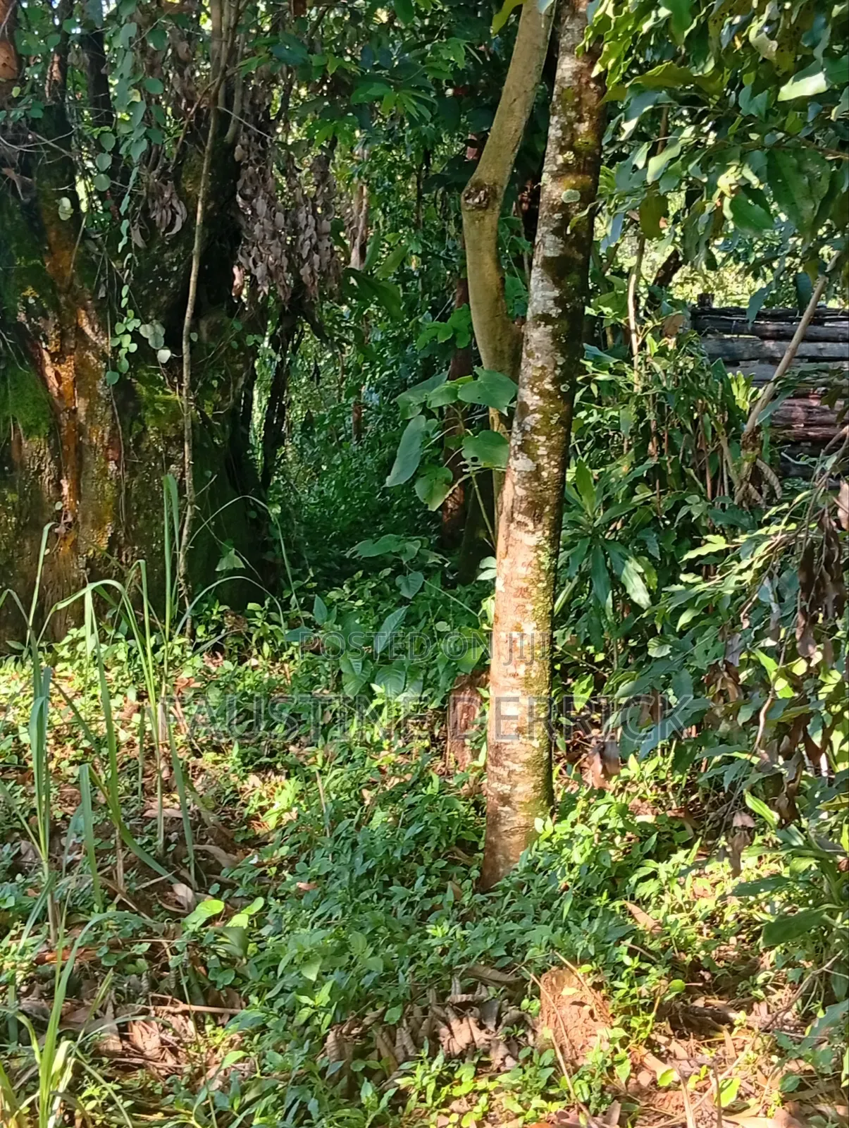 Land on Sale 2acres in Murhanda