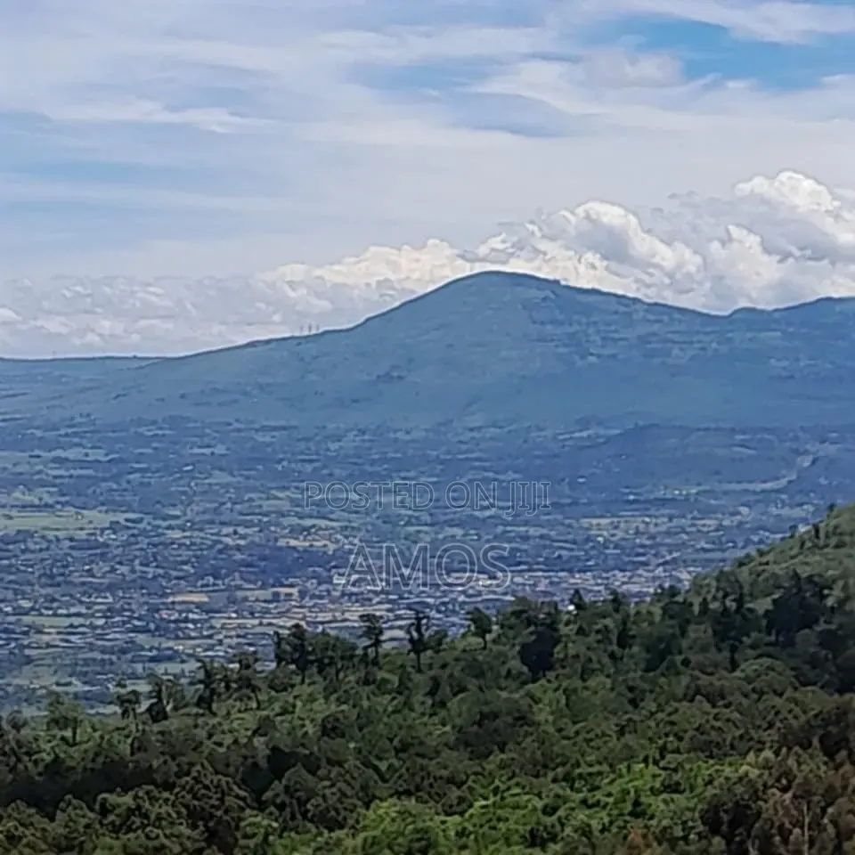 Very Prime 3.25acres for Sale Near Kijabe With View of Rift Valley in Kijabe