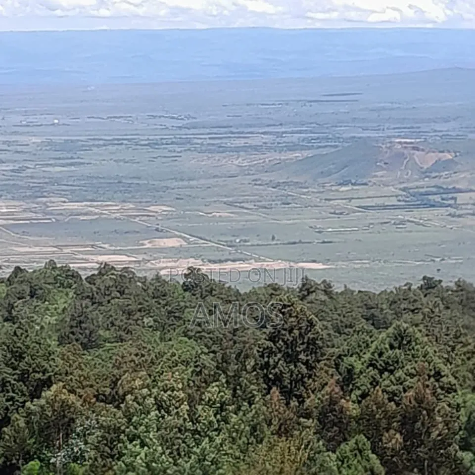 Very Prime 3.25acres for Sale Near Kijabe With View of Rift Valley in Kijabe