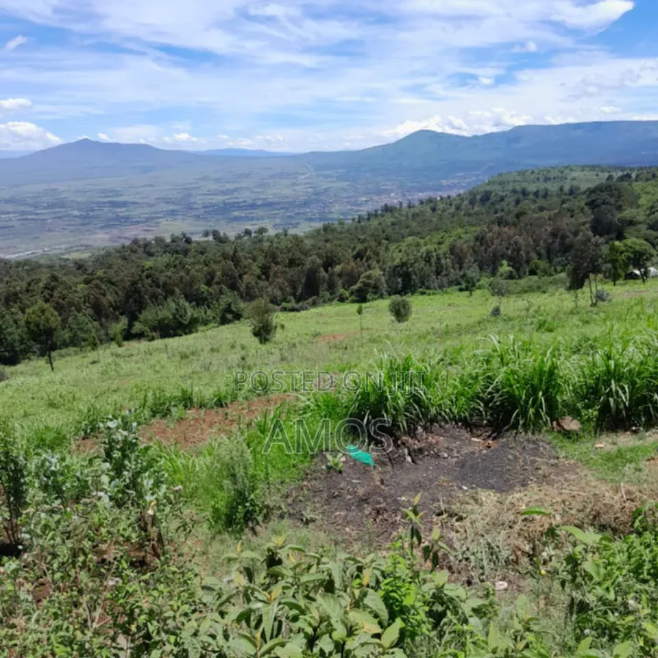 Very Prime 3.25acres for Sale Near Kijabe With View of Rift Valley in Kijabe
