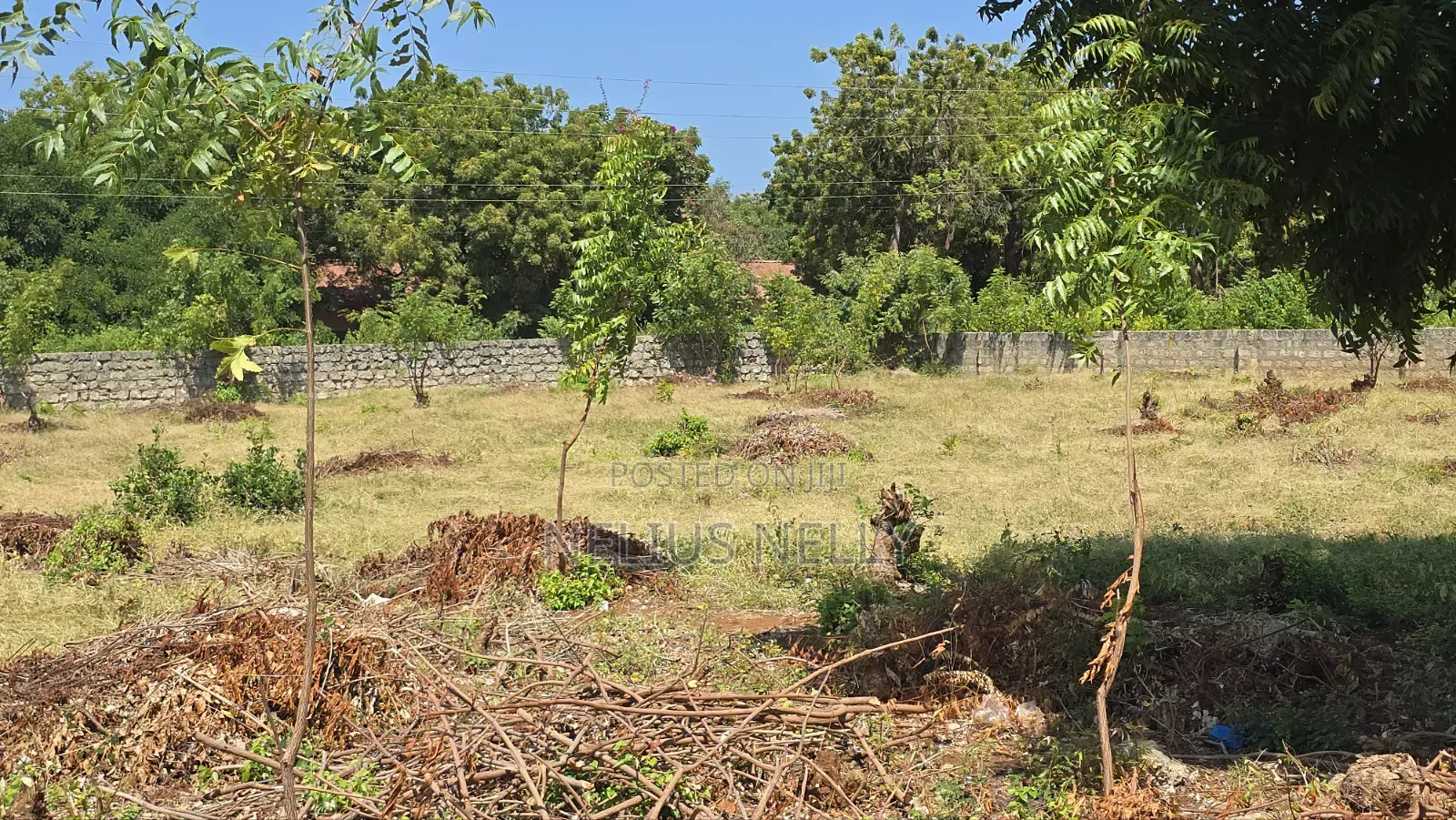 2nd Row Beach Property Kilifi Bofa 1acre Land in Kilifi North
