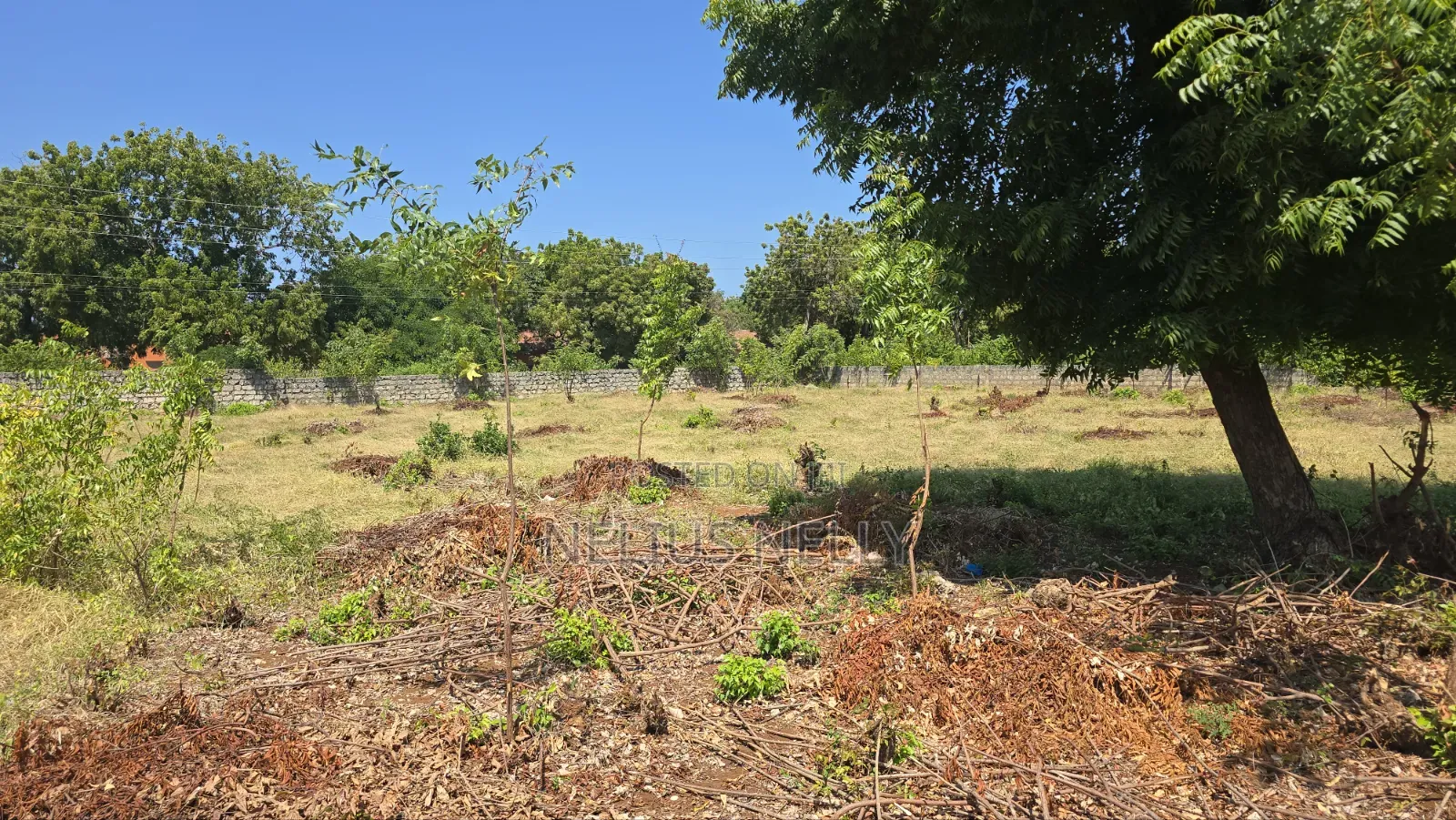 2nd Row Beach Property Kilifi Bofa 1acre Land in Kilifi North
