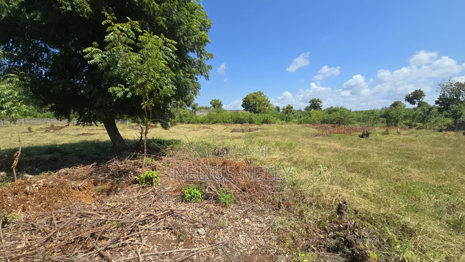 2nd Row Beach Property Kilifi Bofa 1acre Land in Kilifi North