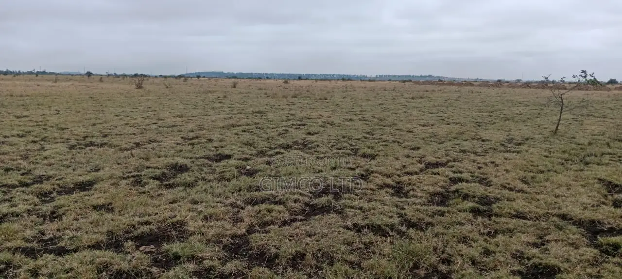 Land for Sale in Juja-Kiambu County in Kalimoni