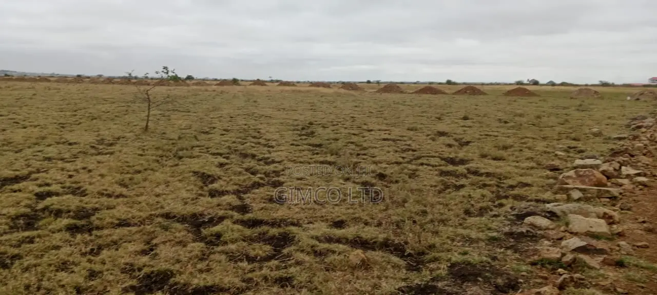 Land for Sale in Juja-Kiambu County in Kalimoni