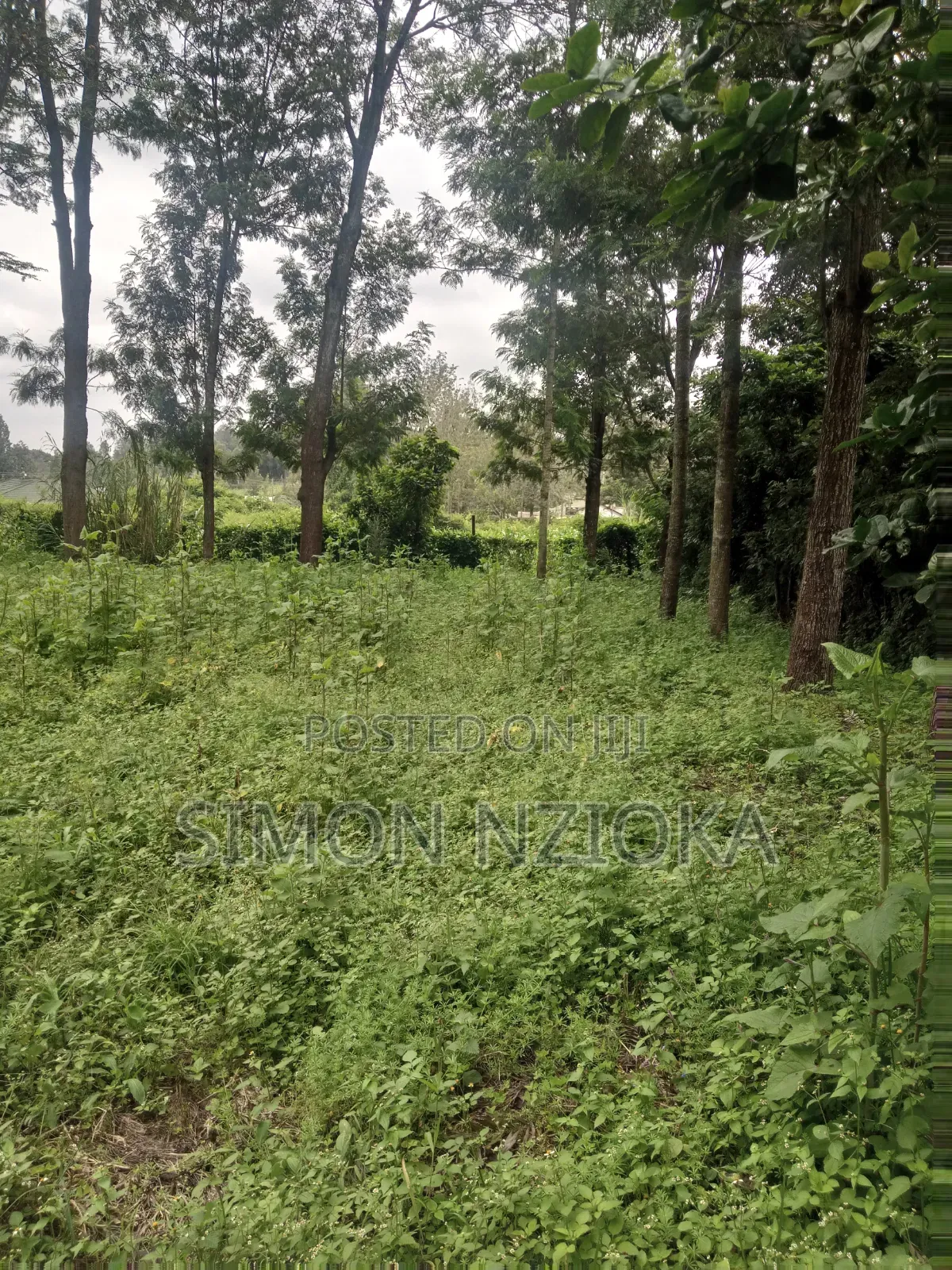 5 Acres for Sale Matasia, Ngong in Matasia