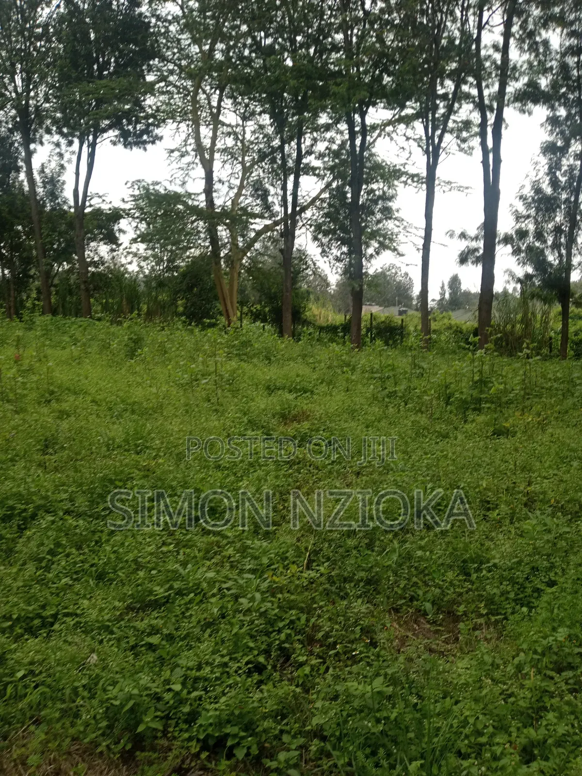 5 Acres for Sale Matasia, Ngong in Matasia