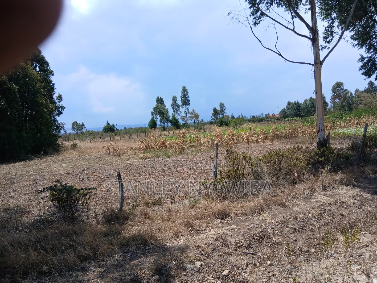One Acre Fronting Tarmac in Nanyuki