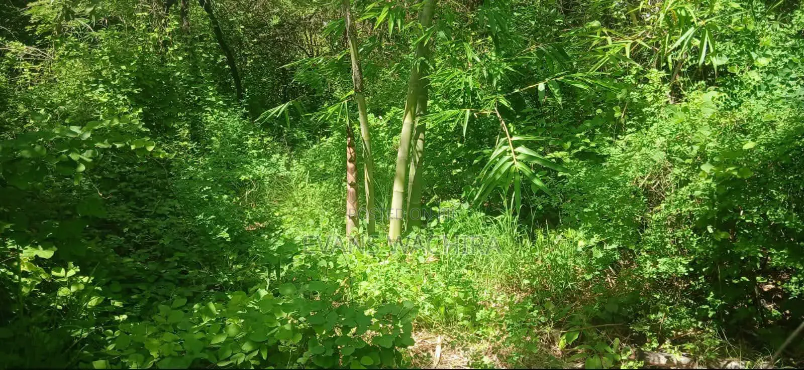 5.4 Acres Mwea in Mwea