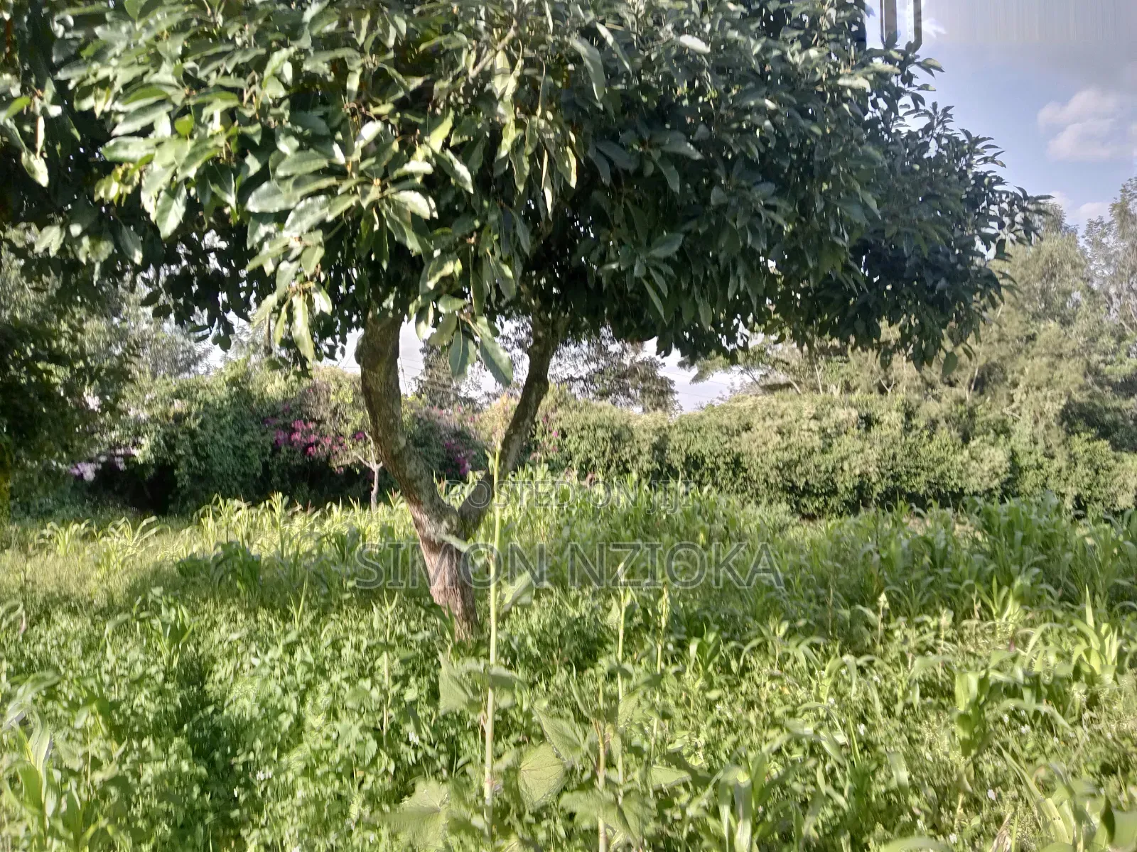 0.5 Acre in Kerarapon, Karen in Kerarapon
