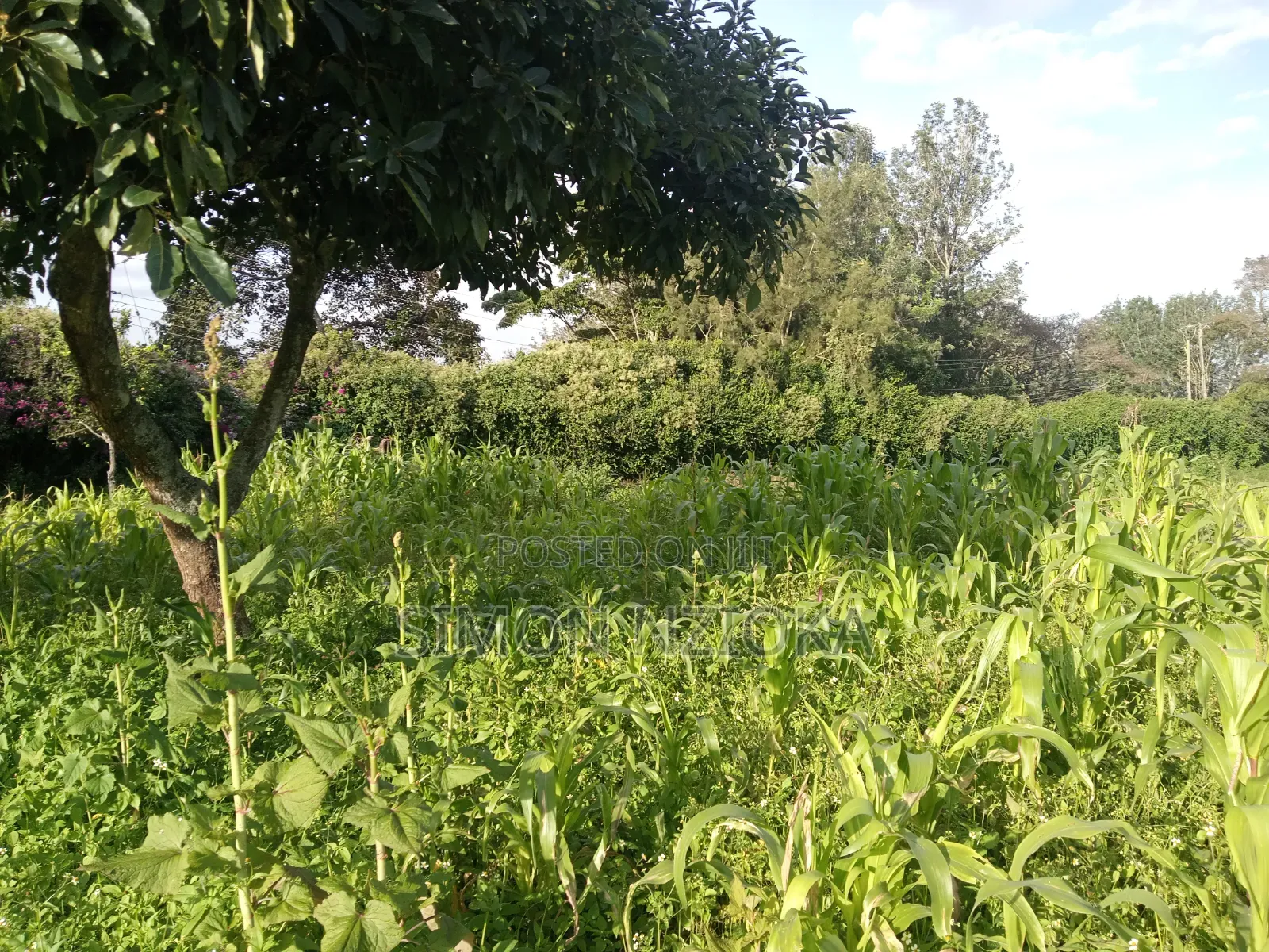 0.5 Acre in Kerarapon, Karen in Kerarapon