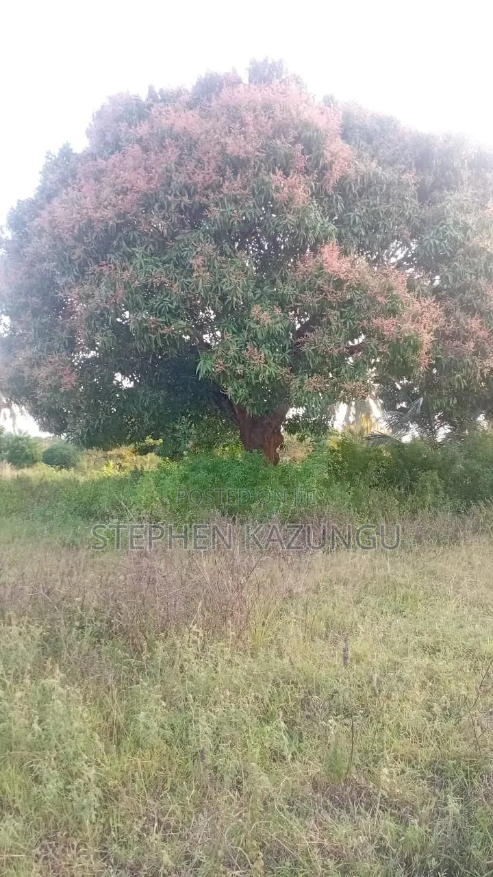 1 Acre Plot on Sale at Kinondo Town Zone, Opposite Kinondo Hospital. in Ukunda