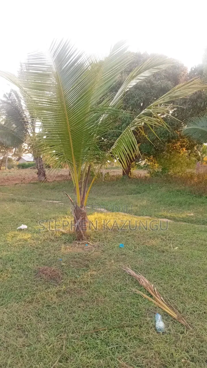 1 Acre Plot on Sale at Kinondo Town Zone, Opposite Kinondo Hospital. in Ukunda