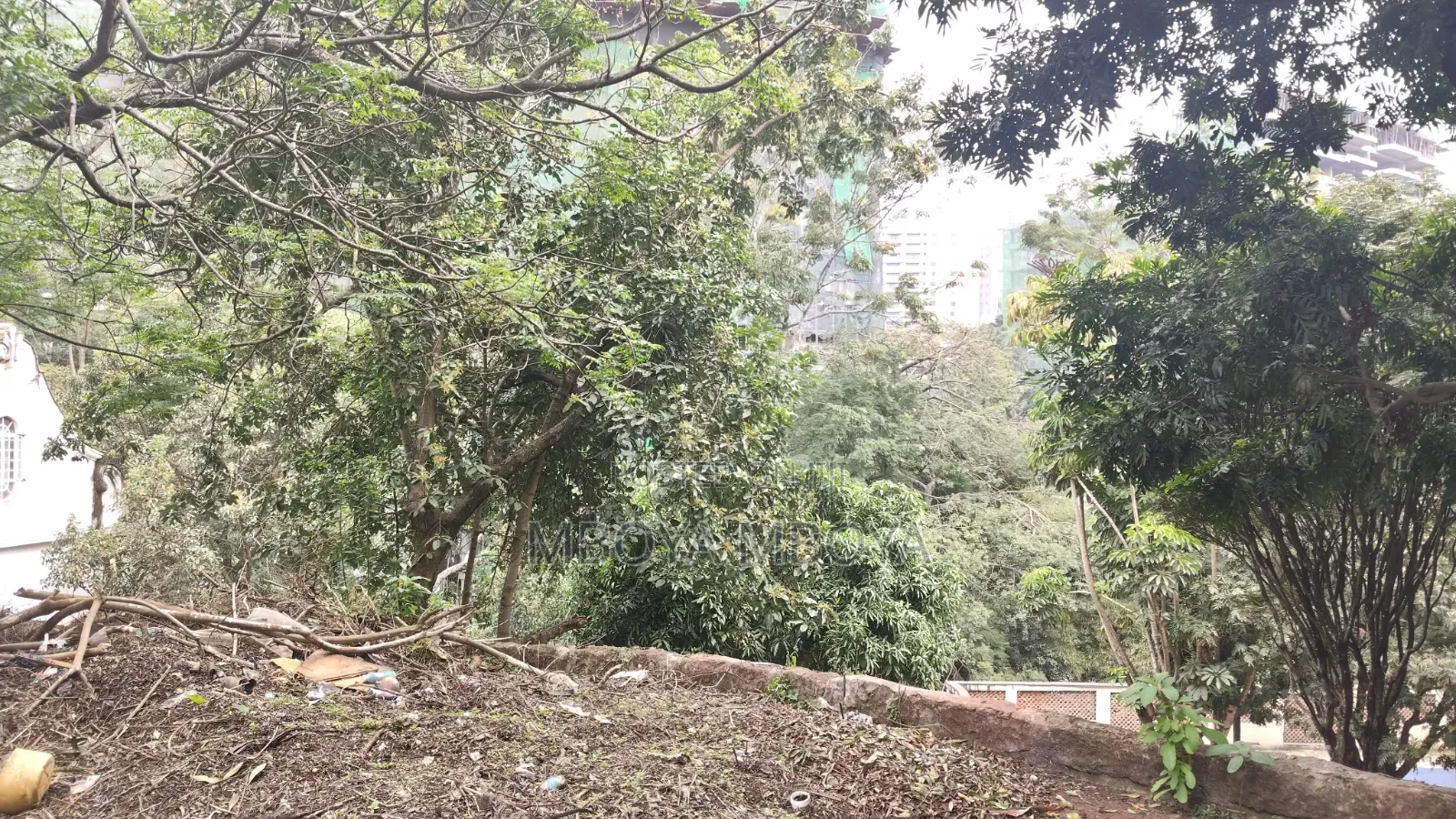 0.9 Acre Residential Land for Sale in Peponi Road in Spring Valley