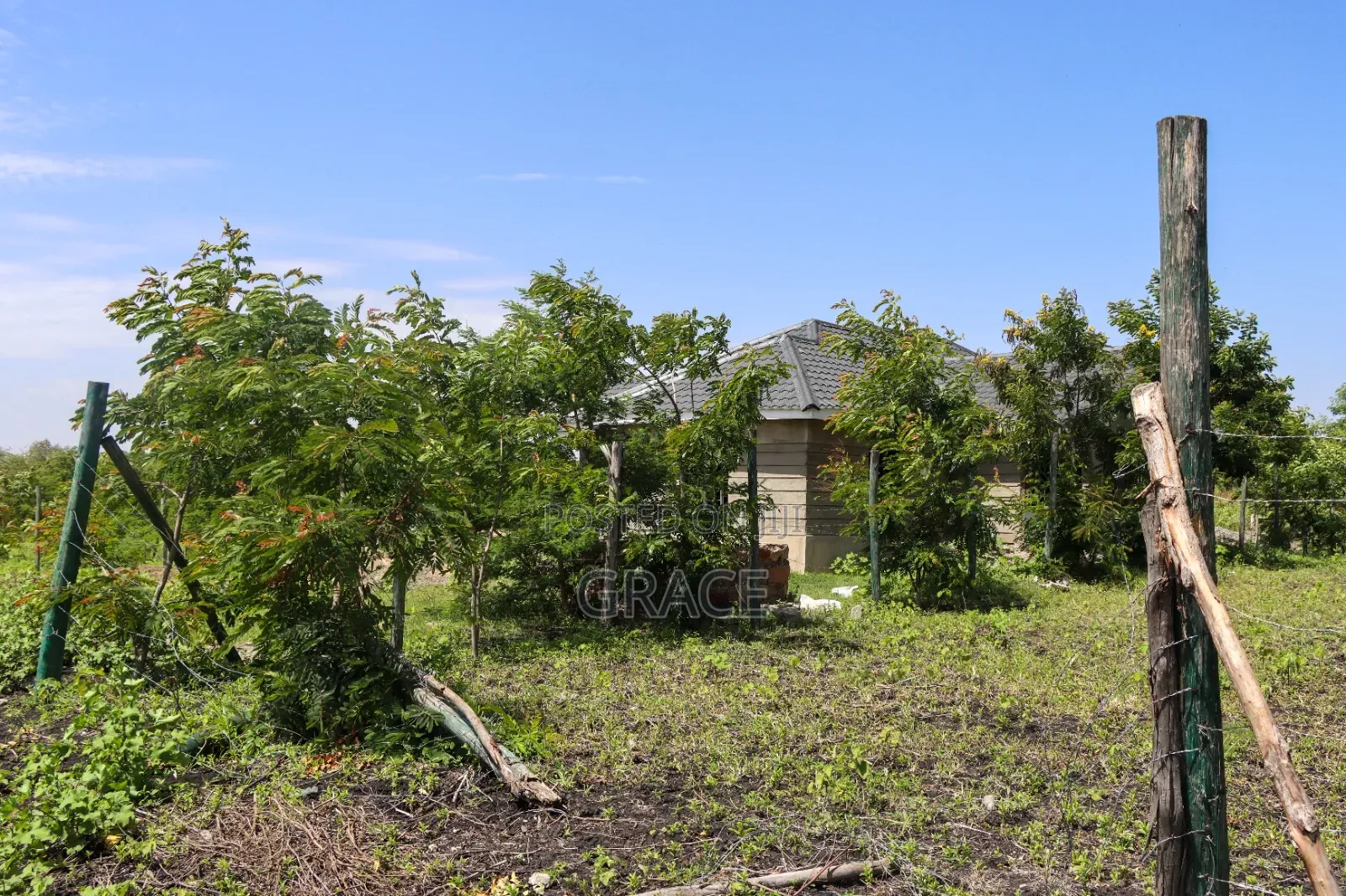 Affordable 1/8th Acre (50x100) Prime Land in Kisaju – KES 1.05M in Kisaju
