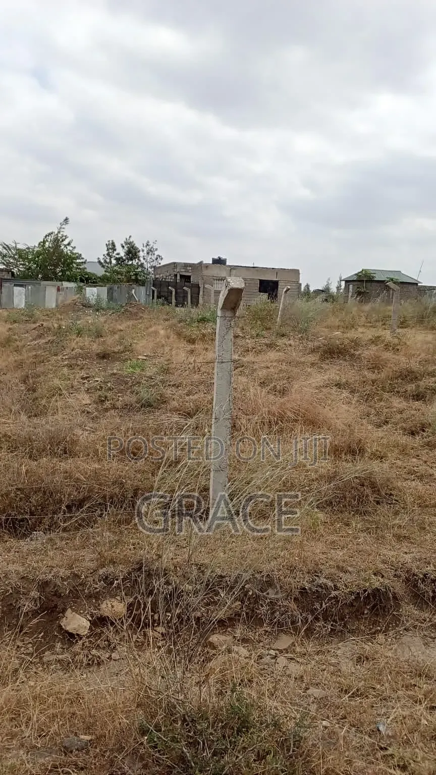 Affordable 1/8th Acre (50x100) Prime Land in Kisaju – KES 1.05M in Kisaju